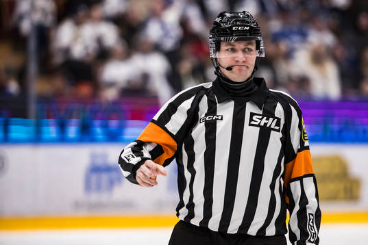 Domare Daniel Eriksson