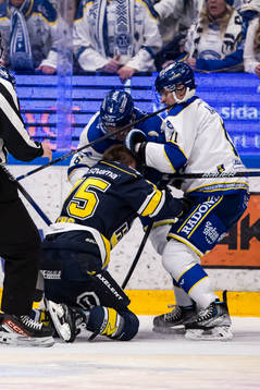 HV71s Radan Lenc och Leksands Martin Karlsson