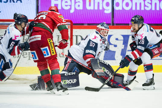 Linköpings målvakt Marcus Högberg