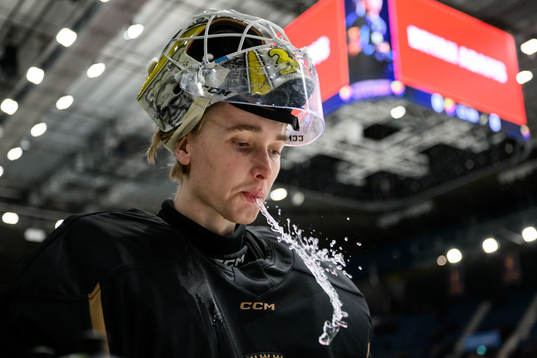 AIKs målvakt Tobias Normann