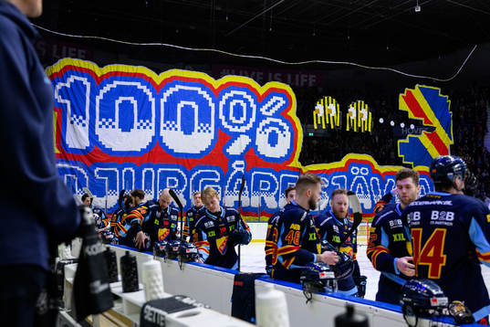 Djurgårdens supportrar med tifo