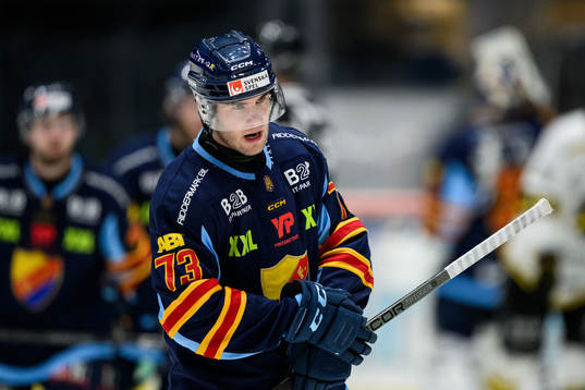 Djurgårdens Anton Gradin
