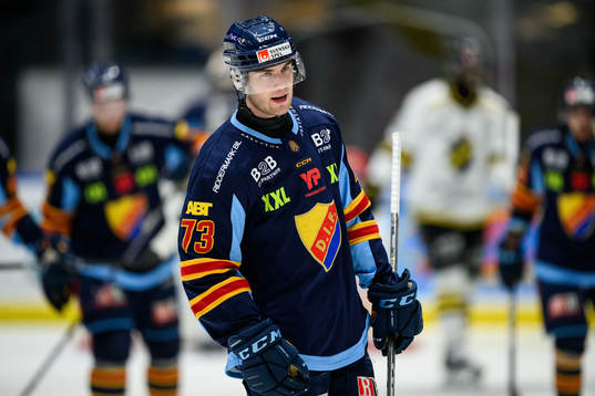 Djurgårdens Anton Gradin