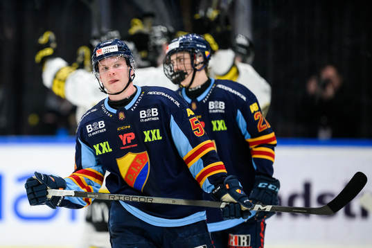 Djurgårdens David Blomgren deppar