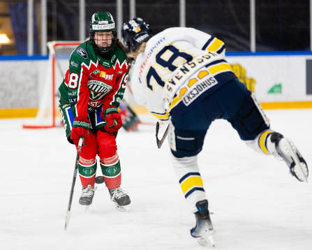 Frölundas Lindsay Agnew täcker ett skott från HV71s Elin