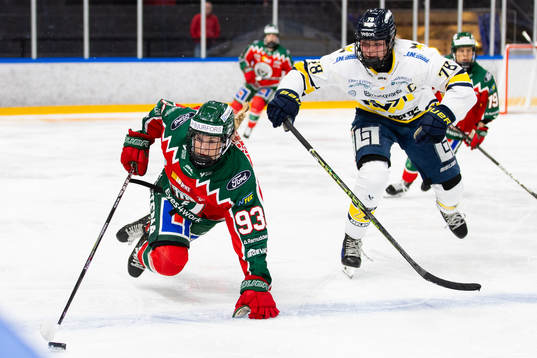 Frölundas Nellie Svensson och HV71s Elin Svensson