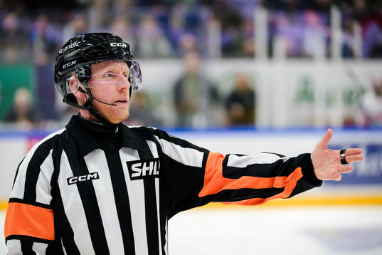 Domare Mikael Holm