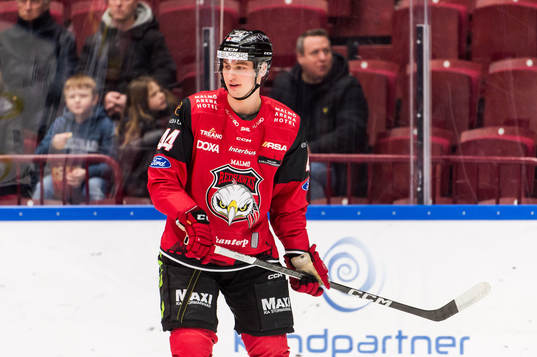 Malmö Redhawks Freddie Larsson