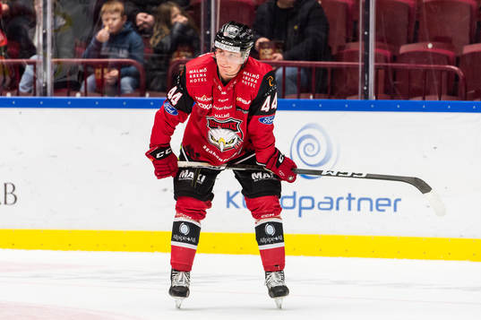 Malmö Redhawks Freddie Larsson