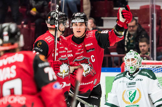 Malmö Redhawks Fredrik Händemark jublar