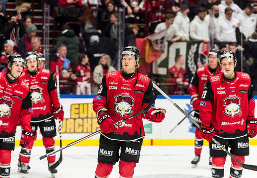 Malmö Redhawks spelare jublar