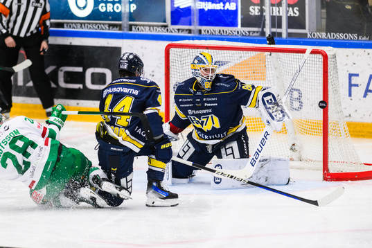 HV71s målvakt Frederik Dichow