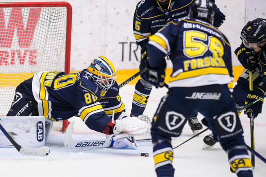 HV71s målvakt Frederik Dichow