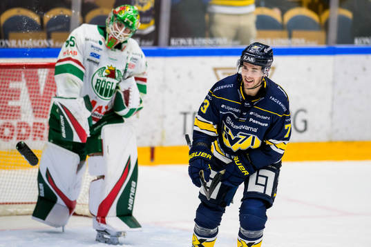 HV71s Nicholas Shore jublar