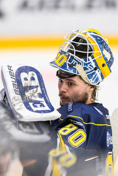 HV71s målvakt Frederik Dichow