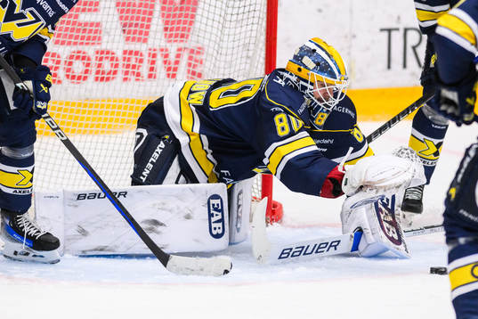 HV71s målvakt Frederik Dichow