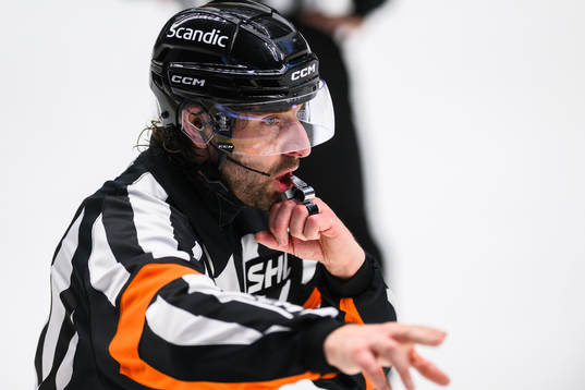 Domare Mikael Sjöqvist
