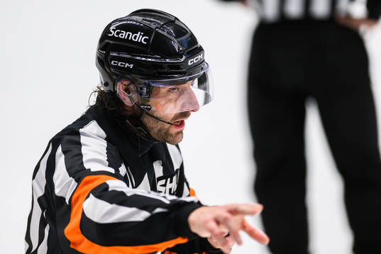 Domare Mikael Sjöqvist
