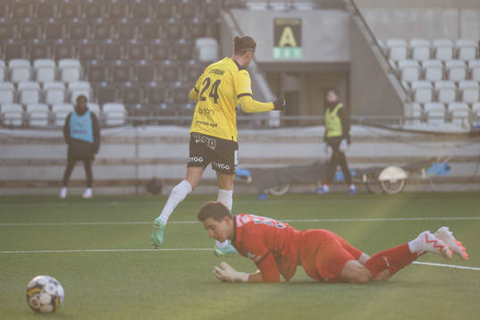 Häckens Amor Layouni jublar