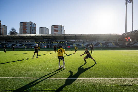 Häckens Severin Nioule