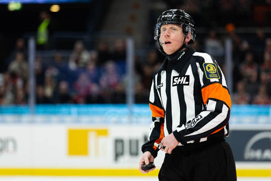 Domare Mikael Holm