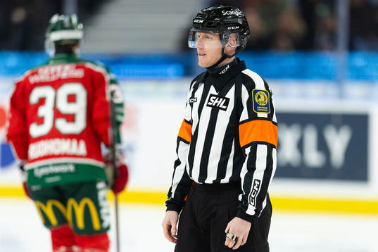Domare Mikael Holm