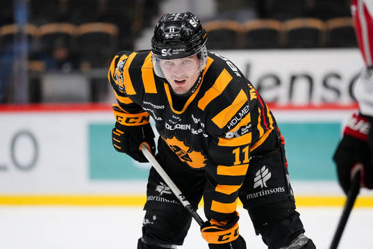 Skellefteås Max Lindholm
