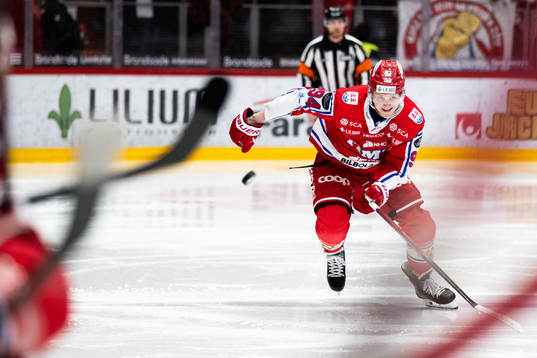 Timrås Sebastian Hartmann