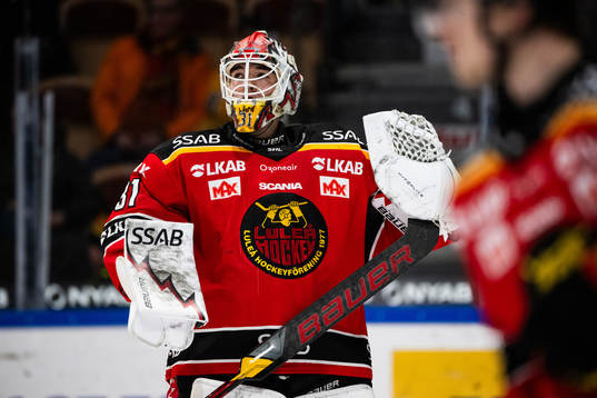 Luleås målvakt Matteus Ward