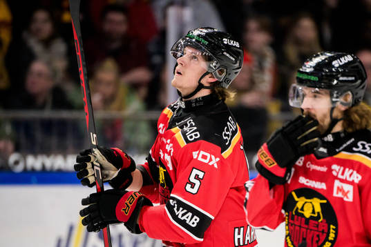 Luleås Marcus Hardegård och Adam Brodecki  deppar
