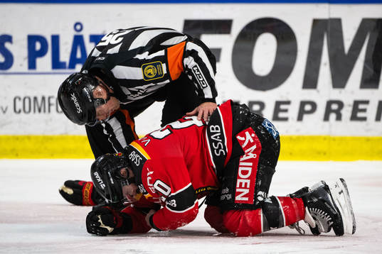 Domare Tobias Björk och Luleås Jack Connolly