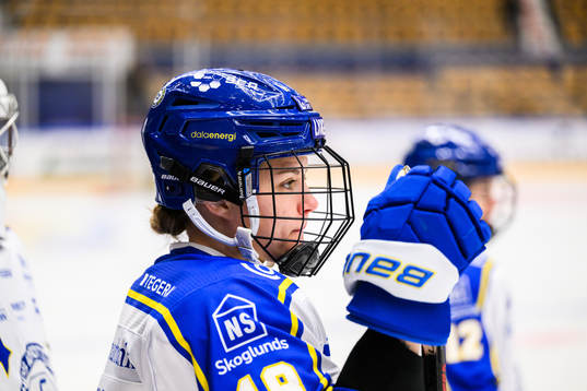 Leksands Saga Tynell-Nissas