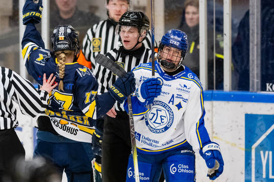Leksands spelare deppar