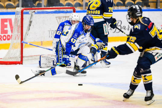 Leksands Aino Karppinen täcker skott från HV71s Kiira
