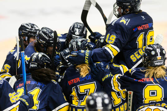 HV71s spelare jublar