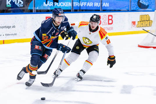 Djurgårdens Wiktor Nilsson och Brynäs Karlis Cukste