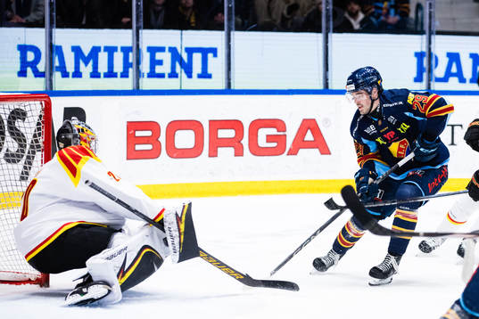 Brynäs målvakt Damian Clara och Djurgårdens Axel