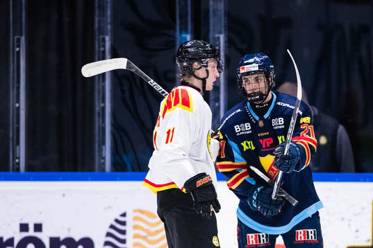 Brynäs Oliver Tärnström och Djurgårdens Linus Eriksson