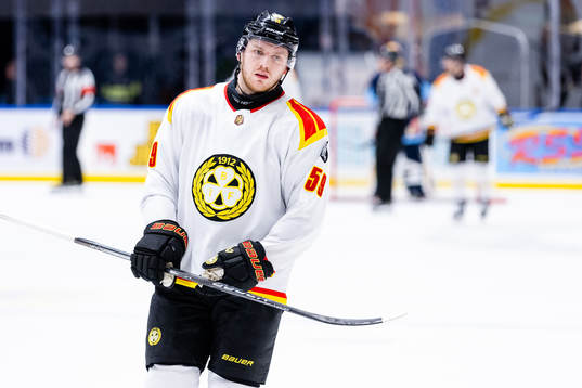 Brynäs Karlis Cukste deppar
