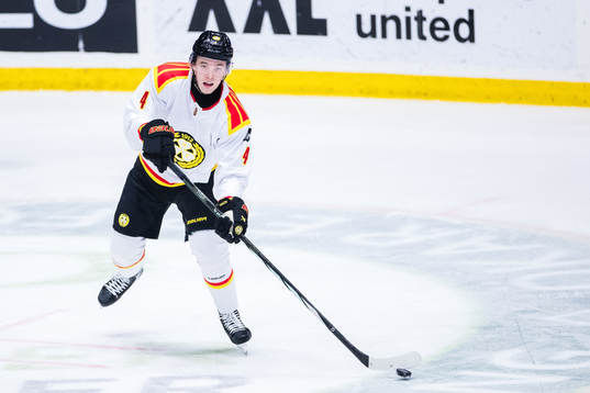 Brynäs Theo Lindstein