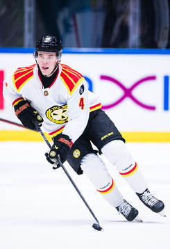 Brynäs Theo Lindstein