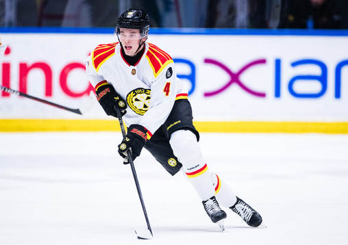 Brynäs Theo Lindstein