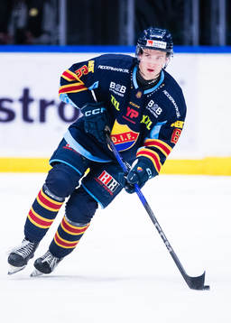 Djurgårdens Arvid Bergström
