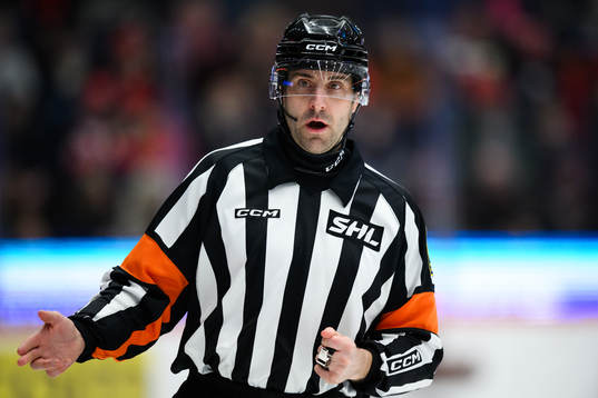Domare Mikael Sjöqvist