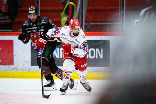 Timrås Robin Hanzl