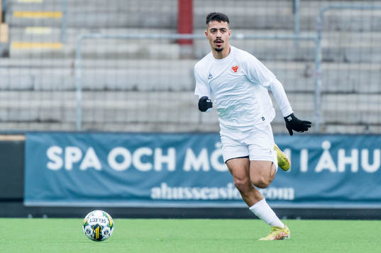 Kalmars Arash Motaraghebjafarpour