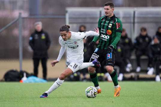 Helsingborgs Ervin Gigovic