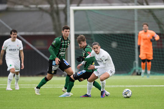 Helsingborgs Ervin Gigovic