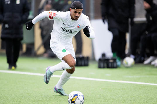 Helsingborgs Baker Amer