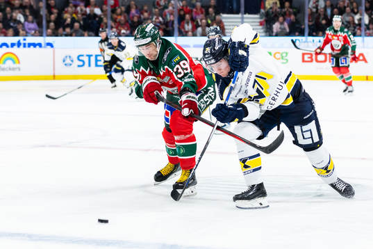 Frölundas Mikael Ruohomaa och HV71s Victor Sjöholm